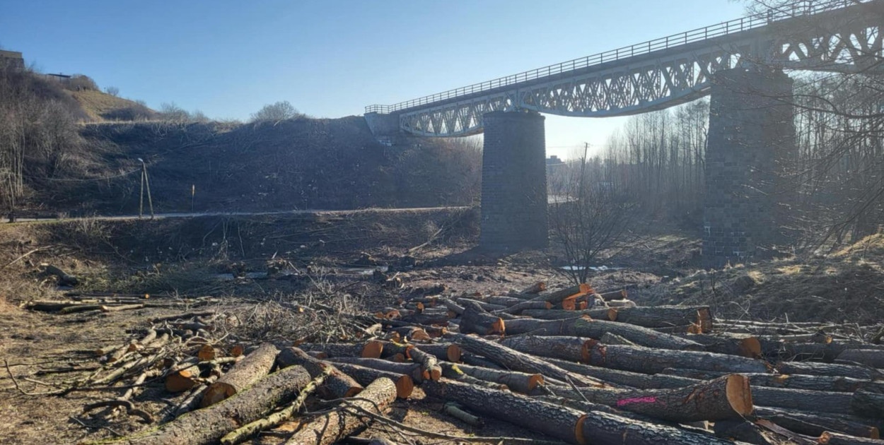 Trwają  prace przygotowawcze do rozpoczęcia modernizacji linii kolejowej 201