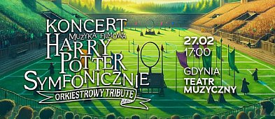 Koncert Muzyka Filmowa Harry Potter Symfonicznie - orchestral tribute-2282