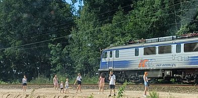 Wstrzymano ruch pociągów na trasie Lębork – Słupsk. Drzewo uszkodziło sieć-64913