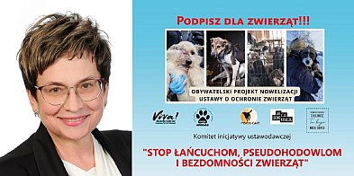 Osowicka: stop łańcuchom, pseudohodowlom  i bezdomności zwierząt! Poprzyj projekt-66649