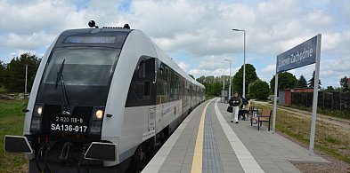 Linia 201 w przebudowie: zmiany w komunikacji i nowe perspektywy dla gminy Żukowo-74125