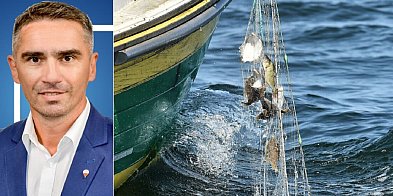 Sławski: dorsz bałtycki ewoluował stając się mniejszą rybą, wymykającą się...-74088