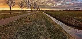 Kto przed sądem składa fałszywe zeznania i mataczy w sp