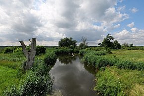 Co dalej z nowym parkiem narodowym? Minister klimatu zdradza plan po wecie-77997