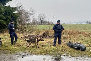 Pościg za kierowcą BMW, który nie zatrzymał się do kontroli drogowej-78233