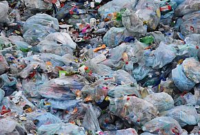 Pomorskie/ CBŚP rozbiło grupę odpowiedzialną za nielegalne składowanie odpadów-78818