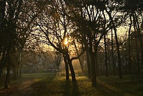 Nadchodzi najkrótszy dzień w 2025 roku. Sprawdź, kiedy przypadnie-79307