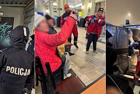 Gdyńska Policja wspólnie z Polskim Czerwonym Krzyżem działają na rzecz najbardziej-79948