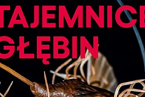 Wystawa „Tajemnice Głębin” w Experymencie