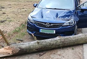 Pomorskie/ Strażacy interweniowali ponad 80 razy w związku z silnym wiatrem