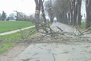 Pomorskie/ Energa Operator usunęła większość awarii po wichurze