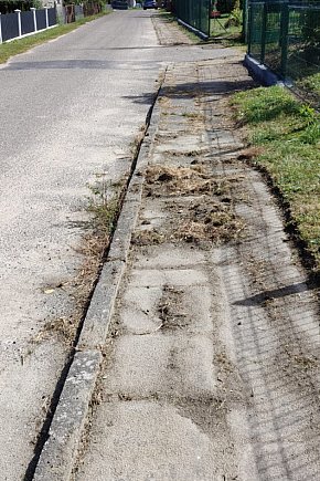 Chodniki w Nadziejewie - przed i po interwencji radnego Jerzego Terechowa-11150