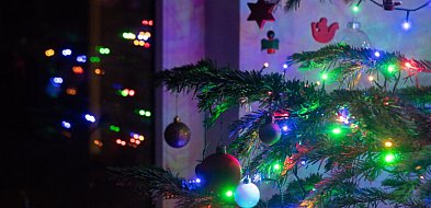 Choinka niejedno ma imię-79395