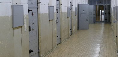 Prokuratura Europejska: zatrzymano 9 osób w śledztwie dotyczącym żłobków w Gdyni i