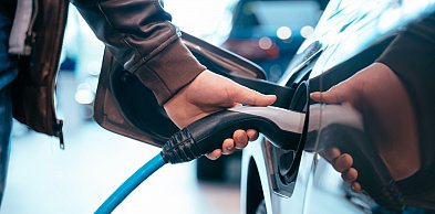 Coraz częściej dochodzi do takich kradzieży. Powody zaskakują