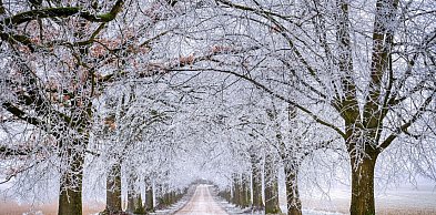 Pomorskie/ Ostrzeżenie przed silnym mrozem