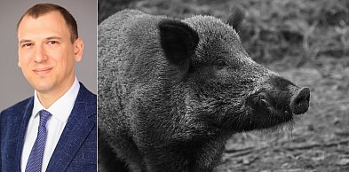 Pogorzelski: "Wydaj i nie pytaj" - nowe motto urzędnicze UM Gdynia