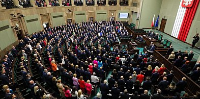 Sondaż WP: KO - 30,7 proc., PiS - 21,5 proc., Konfederacja - 13,2 proc., KPP Braun