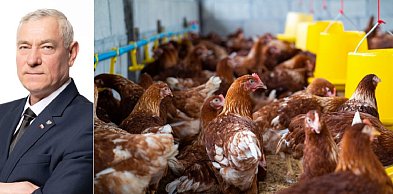 Terechów: padła propozycja budowy kurników w Raciniewie