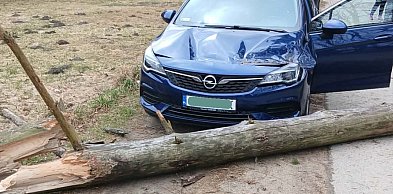 Pomorskie/ Strażacy interweniowali ponad 80 razy w związku z silnym wiatrem