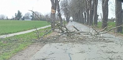 Pomorskie/ Energa Operator usunęła większość awarii po wichurze