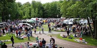 Wejherowo zaprasza na Pchli Targ – odkryj skarby z drugiej ręki