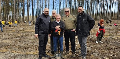 Sadzili las razem z naturą