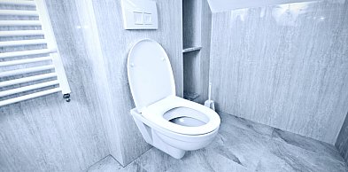 Bzdęga przyszedł prezentować WC?