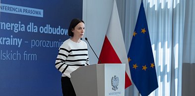 Gdynia/ Wiceszefowa MAP: priorytetem rządu jest regionalny „local content”