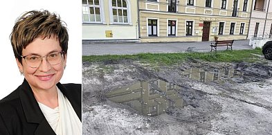 Osowicka: kto brał udział w konsultacjach w sprawie parkingu w Ogrodzie Sióstr?-77741