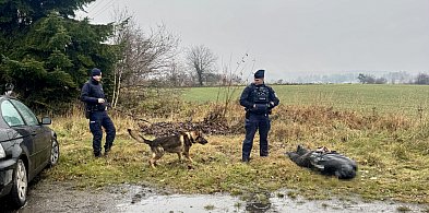 Pościg za kierowcą BMW, który nie zatrzymał się do kontroli drogowej-78233