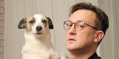 Zajst: będą nowe standardy dla gmin w zakresie opieki nad bezdomnymi zwierzętami