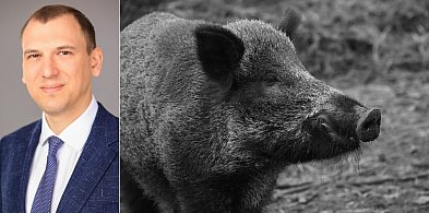 Pogorzelski: "Wydaj i nie pytaj" - nowe motto urzędnicze UM Gdynia