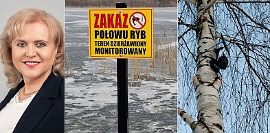 Dalecka: dzierżawca zamontował urządzenia nielegalnie