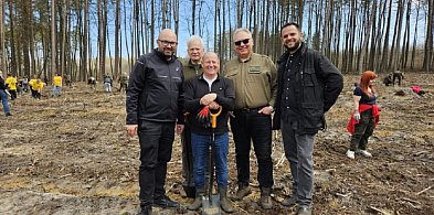 Sadzili las razem z naturą