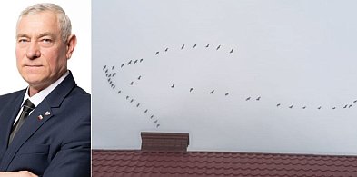 Terechów w sprawie korytarzy przelotów ptactwa chronionego. Jest wniosek do RDOŚ