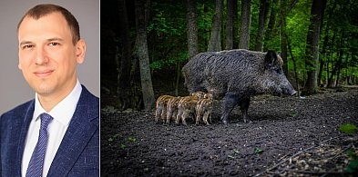 Pogorzleski: zdrowy rozsądek? Zaczyna się od ćwiartki... miliona złotych
