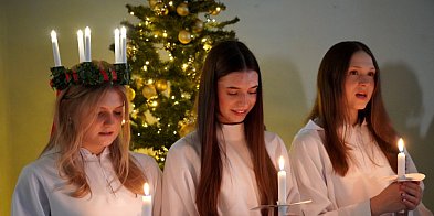 Orszak św. Łucji w gdyńskim magistracie-79134