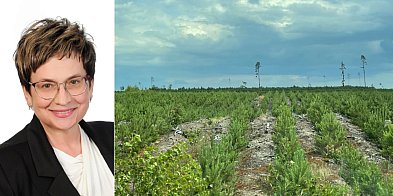 Osowicka: fundusze unijne pomogą ratować zieleń w miast-79542