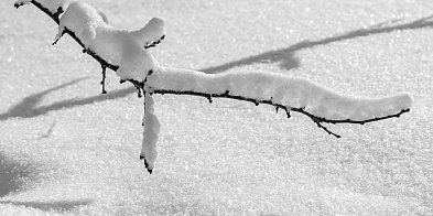 Gdynia/ W związku z trudnymi warunkami pogodowymi przerwano szukanie miejsca-79921