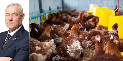 Terechów: padła propozycja budowy kurników w Raciniewie