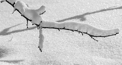 Gdynia/ W związku z trudnymi warunkami pogodowymi przerwano szukanie miejsca-79921