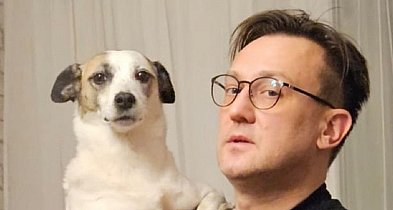 Zajst: będą nowe standardy dla gmin w zakresie opieki nad bezdomnymi zwierzętami