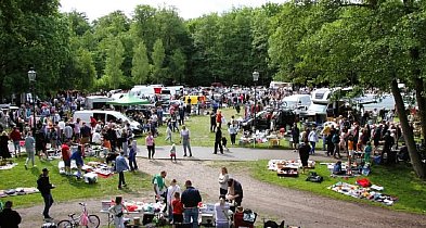 Wejherowo zaprasza na Pchli Targ – odkryj skarby z drugiej ręki