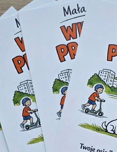 Ubych: chodniki i trawniki wyglądają bardzo kiepsko