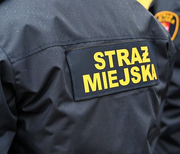Zapuka strażnik, zapłacisz karę. Ruszyły kontrole w całej Polsce-77137
