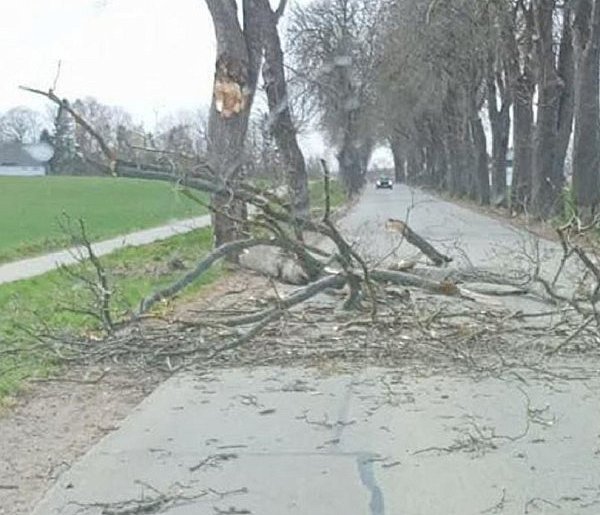 Pomorskie/ Energa Operator usunęła większość awarii po wichurze