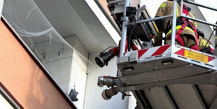 Strażnicy uratowali gołębia i apelują: nie strzelajcie w sylwestra