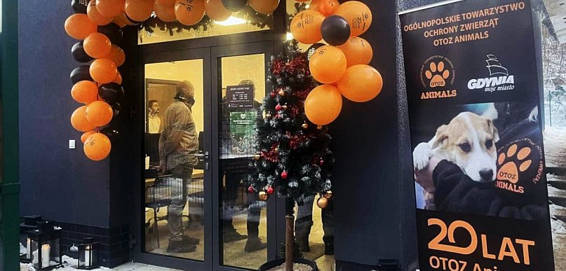 Gdyńskie „Ciapkowo" świętuje 20 wspólnych lat z „Animalsami"