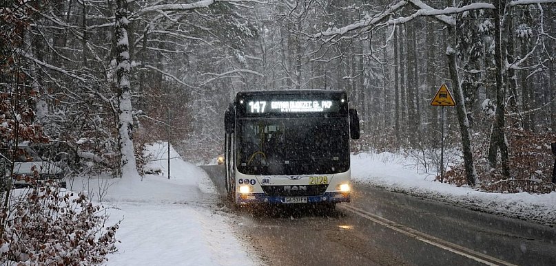 Za darmo komunikacją miejską na setne urodziny Gdyni